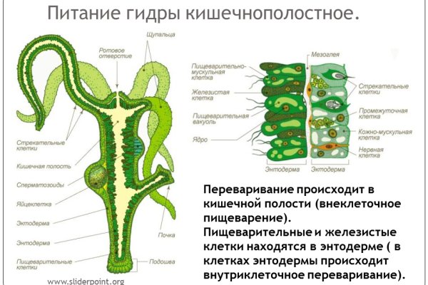 Omgomg ссылка